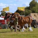 The Herts and Essex Country Fair