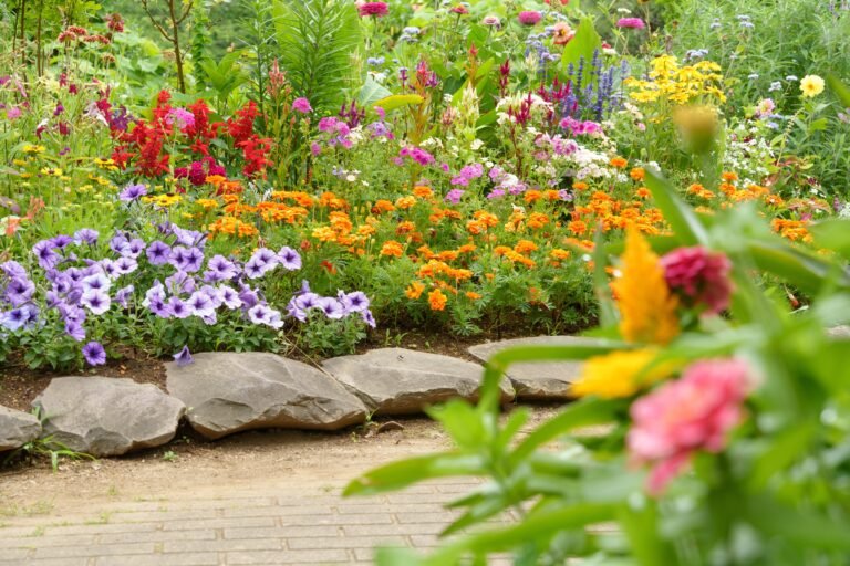 Gardening at the Height of Summer