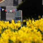 Thriplow Daffodil Weekend