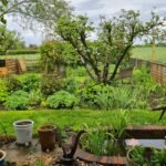 Kings and Queens of Our Gardens