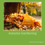 Gardening in October